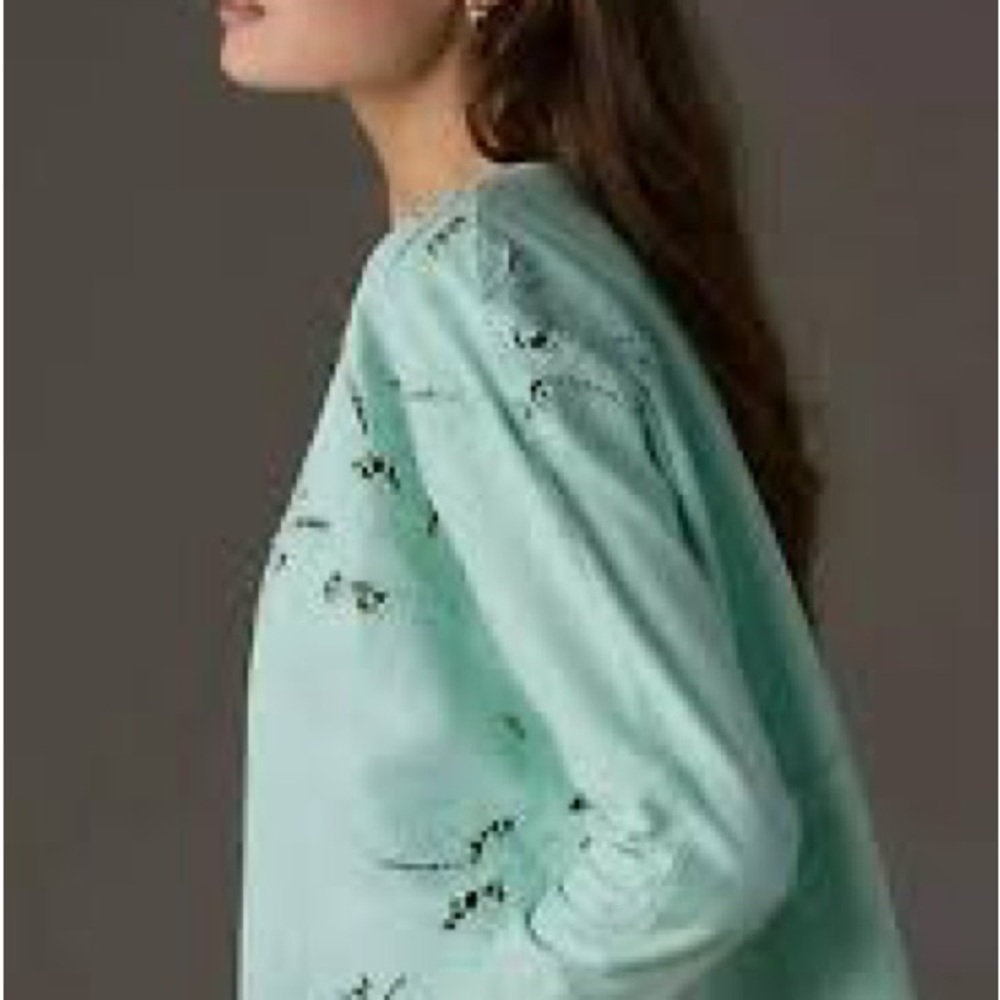 Mint Green Anthropologie Embroidered Sweatshirt - Picture 3 of 6